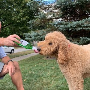 Meet your Posher, Elisha